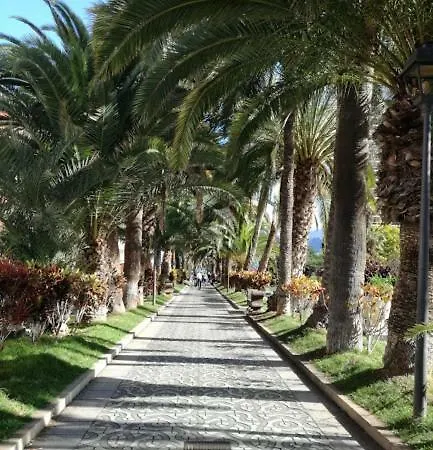 Apartamento órganos Luxe *